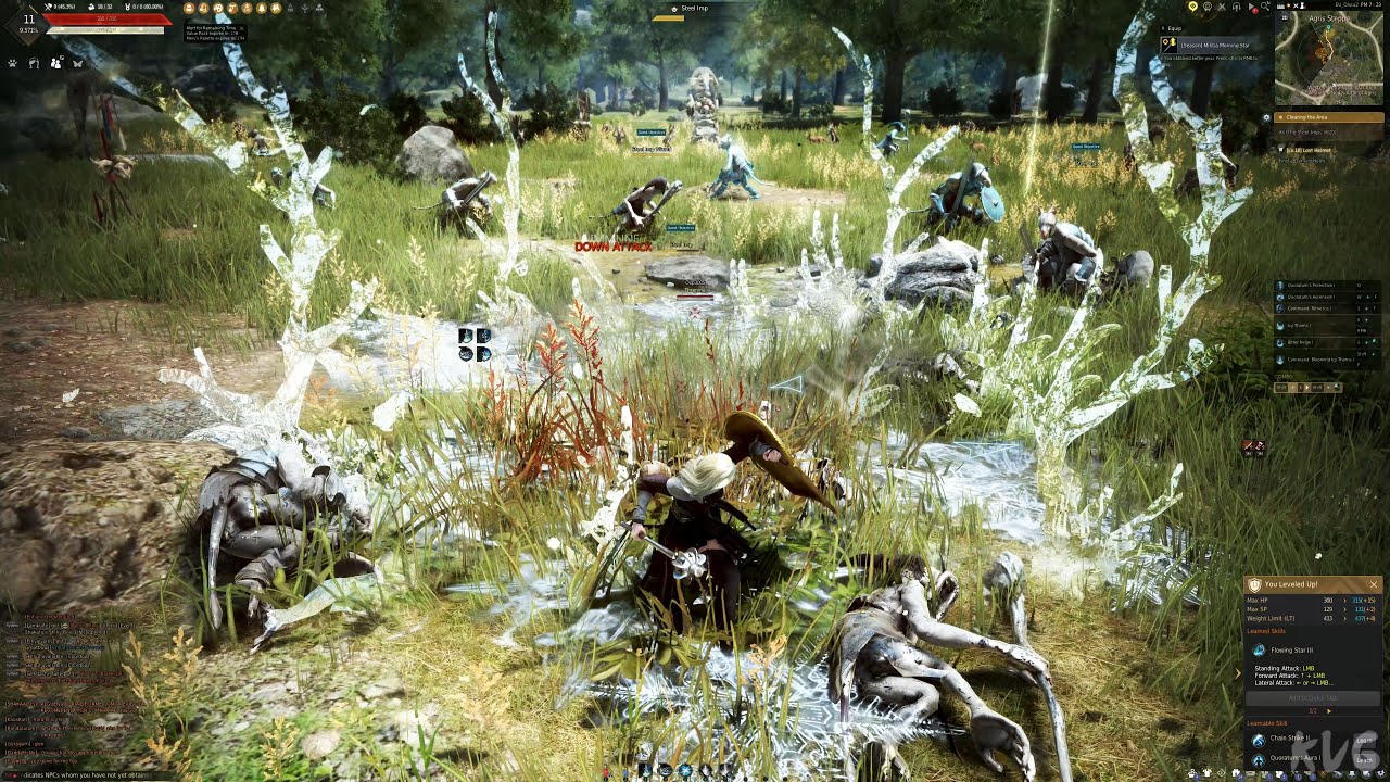 Black Desert